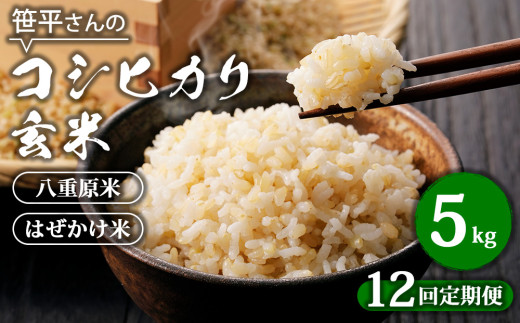 yցzyߘa6NYzdYRVqJ āy5kg×S12 v60kgzb̂ d ͂ ͂쌧s132000āEp