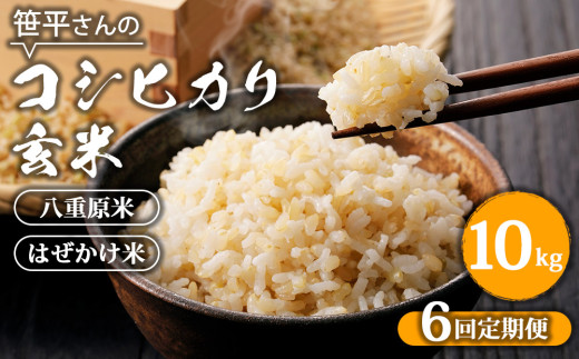 【定期便】【令和6年産】八重原産コシヒカリ 玄米【10kg×全6回 合計60kg】|笹平さんのお米 八重原米 はざかけ はぜかけ長野県東御市132000米・パン白米