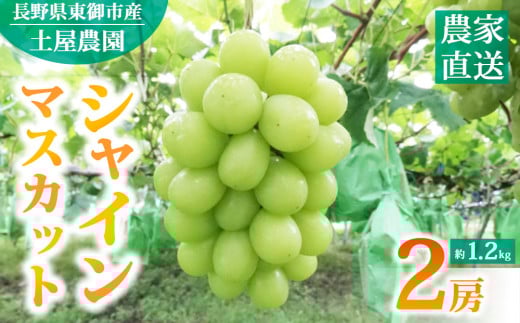 st2026Nyy_z_ƒIVC}XJbgQ[i1.2kgj2026N9{`10{쌧s13000ʕEt[c}XJbgEԂǂ