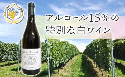 凍霜害 応援!!日本ワイン史上、初!? アルコール15%の特別なワイン長野県東御市26000酒・アルコールワイン