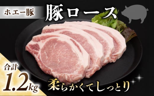 sY zG[ [XiƂ񂩂E\e[pj1.2kgi100g×4×3pbN v12j|   Ⓚ ^pbN zGC ؓ Xe[L Y 쒷쌧s10000ؓ