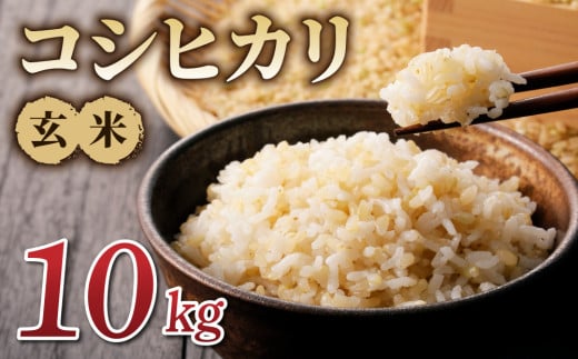 令和7年産新米!コシヒカリ玄米10kg ※2025年10月上旬以降順次発送長野県東御市25000米・パン玄米・雑穀米・もち米・餅