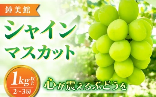 yفzW750mňVC}XJbg1Lȏi2`3[j 2025N9{ȍ~쌧s18000ʕEt[c}XJbgEԂǂ