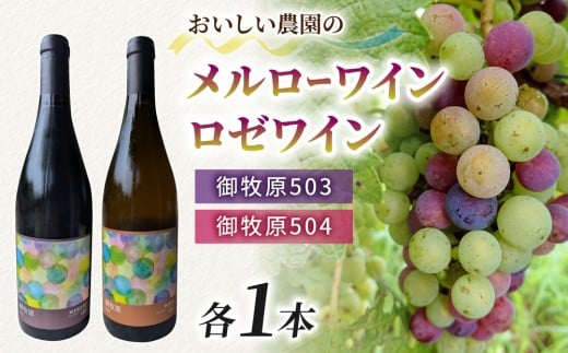 【おいしい農園】メルローワイン「御牧原503」ロゼワイン「御牧原504」セット(各1本)長野県東御市37000酒・アルコールワイン