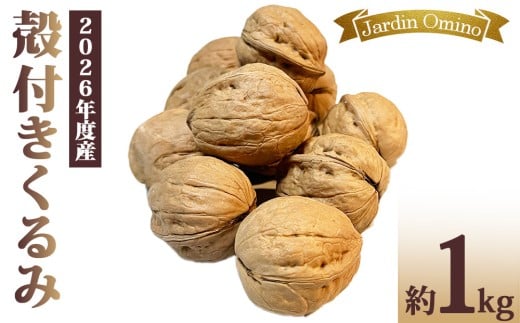 【Jardin Omino】殻付き信州くるみ 約1kg ※2026年産(2027年1月以降お届け)長野県東御市12000野菜・きのこその他 野菜