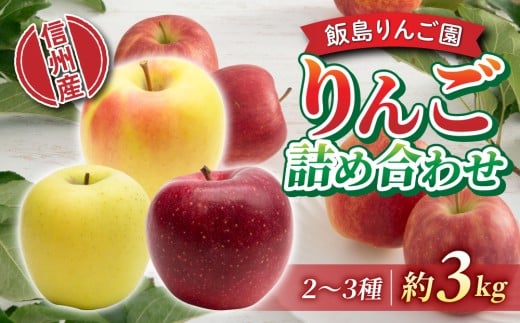 【飯島りんご園】旬の色々りんごの詰め合わせセット 3kg(2〜3種)※10月中旬〜順次発送長野県東御市10000果物・フルーツ