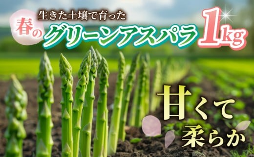 先行受付【里山JAPAN】甘くて柔らか 生きた土壌で育った『春のグリーンアスパラ』1kg|長野県 ※2026年春発送長野県東御市13000野菜・きのこその他 野菜