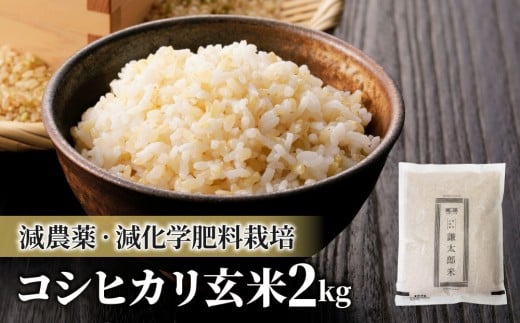 【令和7年産】八重原産 コシヒカリ 玄米 2kg|特別栽培米(栽培期間中減農薬・減化学肥料栽培)【太陽と大地】長野県東御市10000米・パン白米