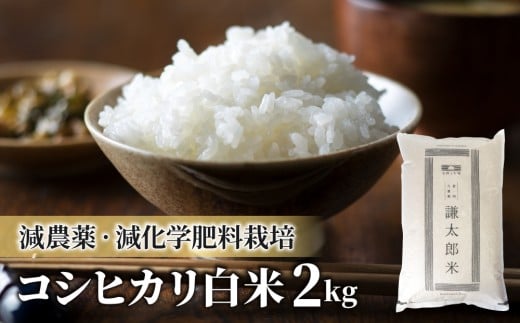 【令和7年産】八重原産コシヒカリ白米2kg 特別栽培米(減農薬・減化学肥料栽培)【太陽と大地】長野県東御市10000米・パン白米