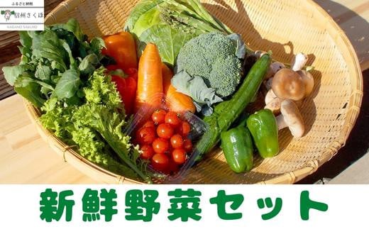 VN؃ZbgmCH-111n쌧v䒬11000؁Ê̑ 