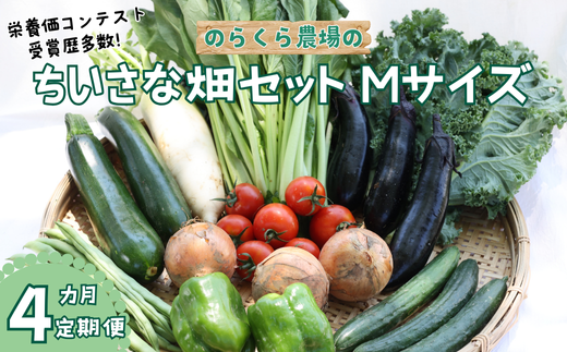 【先行受付・2025年発送】定期便4カ月 有機野菜ちいさな畑セット(Mサイズ 2〜3人前)(NK-T503)長野県佐久穂町40000野菜・きのこその他 野菜