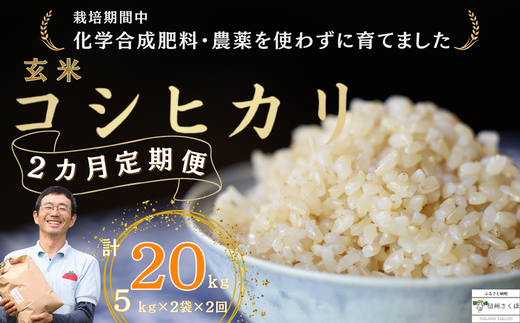 ւQ@vƂ_̃RVqJ@5kg×2܁@v20siST-T505j쌧v䒬44000āEp