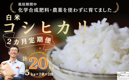 ւQ@vƂ_̃RVqJ@5kg×2܁@v20skST-T524l쌧v䒬44000āEp