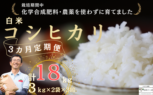 定期便3ヵ月 佐久穂とさや農園のコシヒカリ 白米6kg 計18s〔ST-T519〕長野県佐久穂町45000米・パン白米