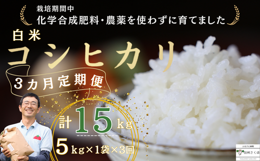 定期便3ヵ月 佐久穂とさや農園のコシヒカリ 白米5kg 計15s〔ST-T523〕長野県佐久穂町36000米・パン白米