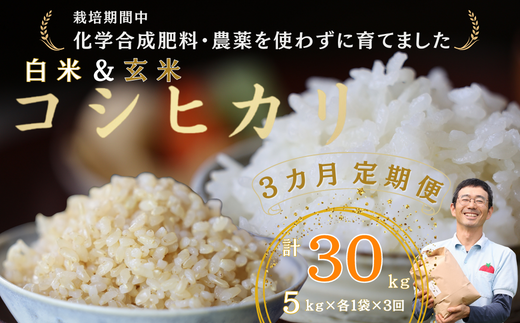 ւR@vƂ_̃RVqJ@āE e5kg@v30skST-T527l쌧v䒬66000āEp