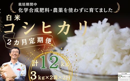 ւQ@vƂ_̃RVqJ@6kg@v12s쌧v䒬30000āEp