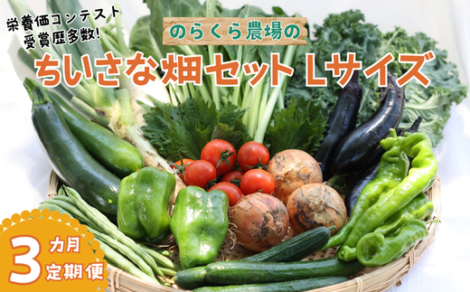 【先行受付・2025年発送】定期便3カ月 ちいさな畑セット(Lサイズ 3〜4人前)(NK-T506)長野県佐久穂町36000野菜・きのこその他 野菜