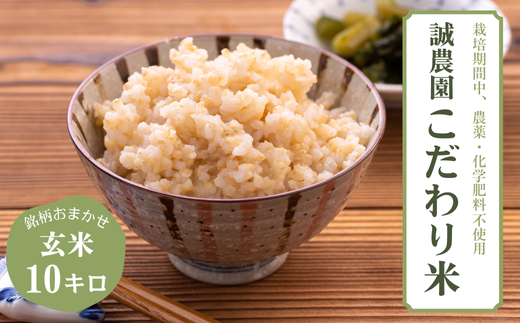 ys\Fߘa6NYzMBYā@͂܂@ā@10kgmMA-111n쌧v䒬22000āEpāEGāEāE