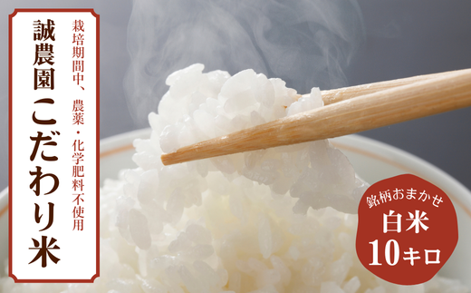 ys\Fߘa6NYzMBYā@͂܂@ā@10kgmMA-109n쌧v䒬22000āEp