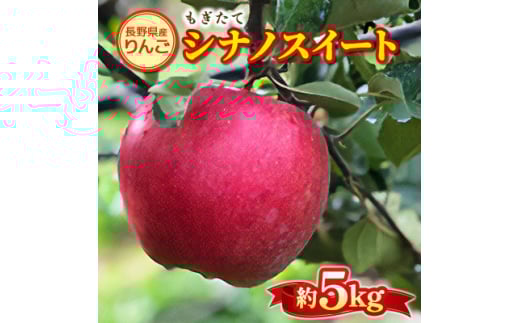 もぎたて『シナノスイート』りんご 約5kg【1053404】長野県南箕輪村13000果物・フルーツりんご・梨