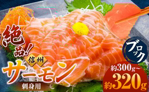  Y MB T[ hgp ubN 300`320g |  hg T[ MBT[ ؂g hg  VP CN VN N j ґ  ] 쌧Y 쌧 MB V쌧