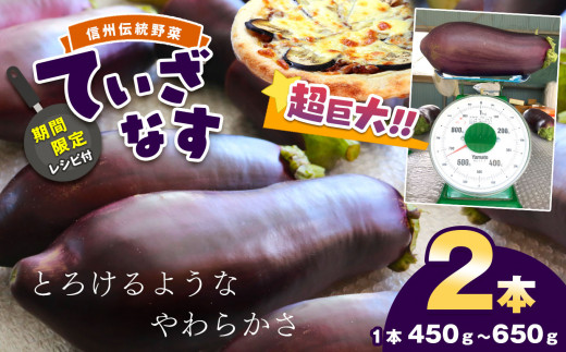 yԌ聙VstzMB` VYĂȂ2{ZbgiP{450`650j | Hi  Ȃ ֎q ĂȂ T_ sNX VY MB` 쌧 MB V