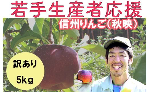若手生産者応援 りんご (秋映) 訳あり 5s 数量限定 先行予約 川上啓介 果物 フルーツ 家庭用 長野県 麻績村 麻績 信州長野県麻績村9500果物・フルーツりんご・梨