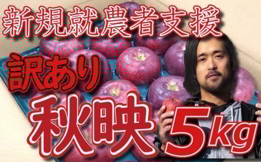 新規就農者応援 りんご (秋映) 訳あり 5s 数量限定 先行予約 伊藤快 家庭用長野県麻績村9500果物・フルーツりんご・梨