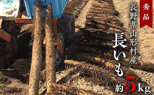 2409 長野県山形村産 秀品「長いも」 約5kg長野県山形村19000野菜・きのこ大根・ニンジン・根菜類