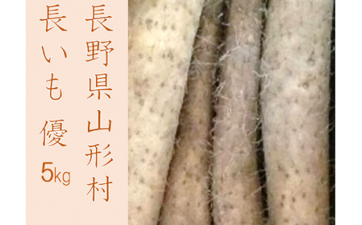 3202 信州山形村産 長いも 優 5kg長野県山形村17000野菜・きのこ大根・ニンジン・根菜類