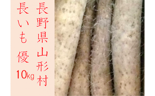 3203 信州山形村産 長いも 優 10kg長野県山形村21000野菜・きのこ大根・ニンジン・根菜類