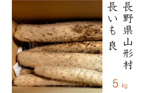 3204 信州山形村産 長いも 良 5kg長野県山形村16000野菜・きのこ大根・ニンジン・根菜類