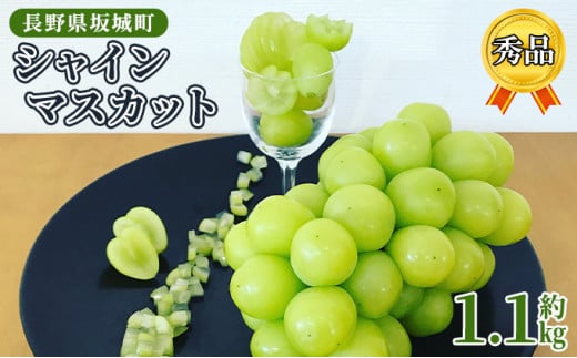 [5729-0400]VC}XJbg 1.1kg [ Gi ԍʎ Ԃǂ  }XJbg uhE t[c ʕ VCy ʕ z쌧钬11000ʕEt[c}XJbgEԂǂ