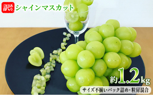[5729-0401]󂠂 VC}XJbg 1.2kg ԍʎ Ԃǂ  }XJbg uhE t[c ʕ VCy ʕ z쌧钬10000ʕEt[c}XJbgEԂǂ