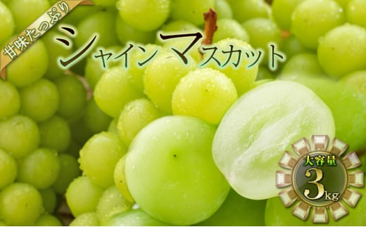 [5729-0459]VC}XJbg 3kg쌧钬28000ʕEt[c}XJbgEԂǂ