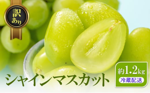 [5729-0470]󂠂 VC}XJbg 1.2kg  YANAGISAWA Ԃǂ  }XJbg uhE t[c ʕ VC쌧钬12000ʕEt[c}XJbgEԂǂ