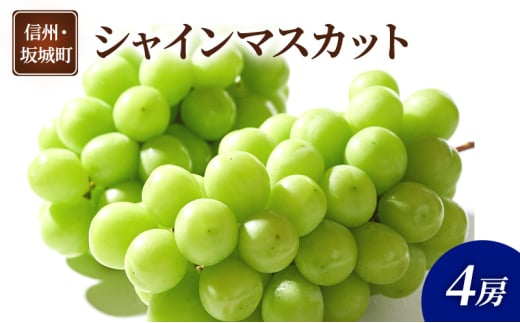 [5729-0489]Ԃǂ VC}XJbg 4[  uhE t[c ʕ fU[g  MB  钬쌧钬21000ʕEt[c}XJbgEԂǂ