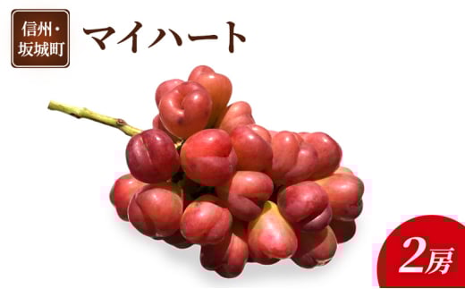 [5729-0492]Ԃǂ }Cn[g 2[  uhE t[c ʕ fU[g  MB  钬쌧钬18000ʕEt[c}XJbgEԂǂ