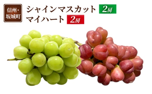 [5729-0494]Ԃǂ VC}XJbg 2[ }Cn[g 2[  uhE t[c ʕ fU[g  MB  钬쌧钬24000ʕEt[c}XJbgEԂǂ