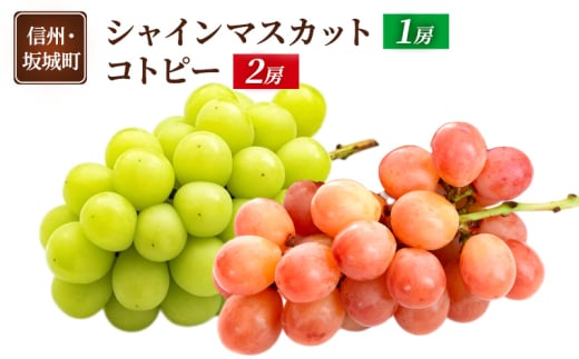 [5729-0498]Ԃǂ VC}XJbg 1[ Rgs[ 2[  uhE t[c ʕ fU[g  MB  钬쌧钬21000ʕEt[c}XJbgEԂǂ