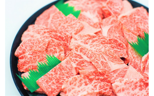 9 特撰飛騨牛A5等級 肩ロース・赤身 焼肉用900g岐阜県各務原市44000肉牛肉