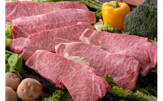 13 特撰飛騨牛A5等級 サーロイン ステーキ用 250g × 6枚岐阜県各務原市101000肉牛肉