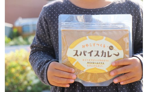 630 おうちで本格スパイスカレーセット岐阜県各務原市10000調味料・油塩・胡椒・砂糖