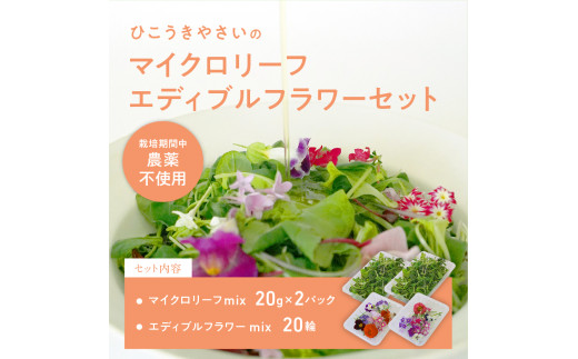 931 マイクロリーフミックス【40g】&エディブルフラワーミックス【20輪】セット岐阜県各務原市10000野菜・きのこその他 野菜
