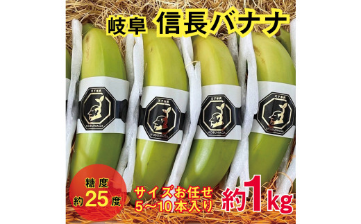 1041 天下布武信長バナナ 約1kg サイズお任せ 国産 糖度25度前後 無農薬 無添加岐阜県各務原市34000果物・フルーツその他 果物・フルーツ