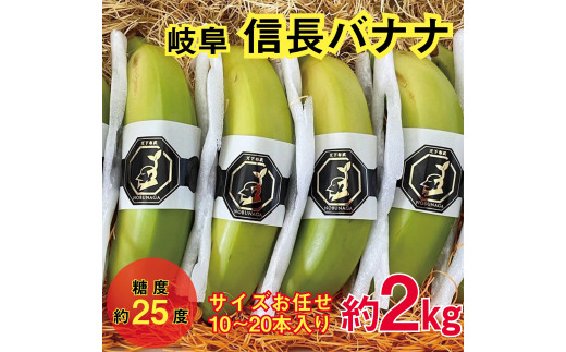 1042 天下布武信長バナナ 約2kg サイズお任せ 国産 糖度25度前後 無農薬 無添加岐阜県各務原市69000果物・フルーツその他 果物・フルーツ
