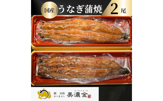 1036 美濃金 神田本店 炭焼 国産うなぎ蒲焼2尾岐阜県各務原市36000魚介・海産物うなぎ