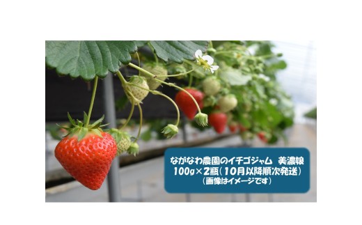 1107 ながなわ農園のいちごジャム 美濃娘 100g×2瓶 数量限定岐阜県各務原市8000鍋セット・総菜・加工食品ジャム・はちみつ