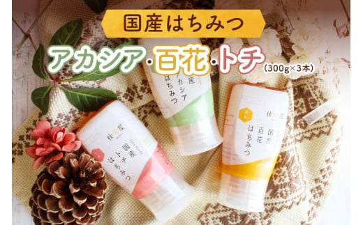 [ Y݂͂ ] AJVAESԁEg` ( 300g × 3{ ) ݂͂ n`~c I nj[ {g ɂ  Hc{X [1017]  Y 100 SԖ Mtg  Ƃ g₷e Hה 23000